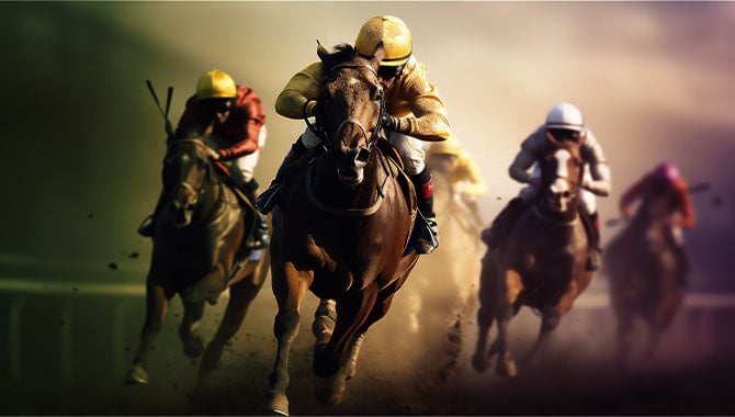 horse racing sports bet